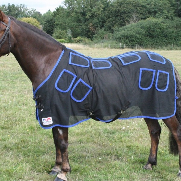 Rug + Medicur Field Therapy Unit