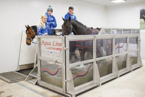horse water treadmill in use