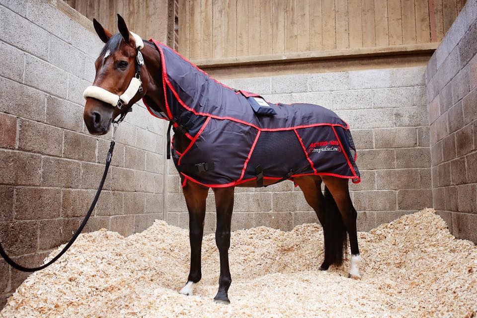 Activo-Med horse massage rug to help with ulcers