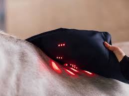 Red Light Therapy