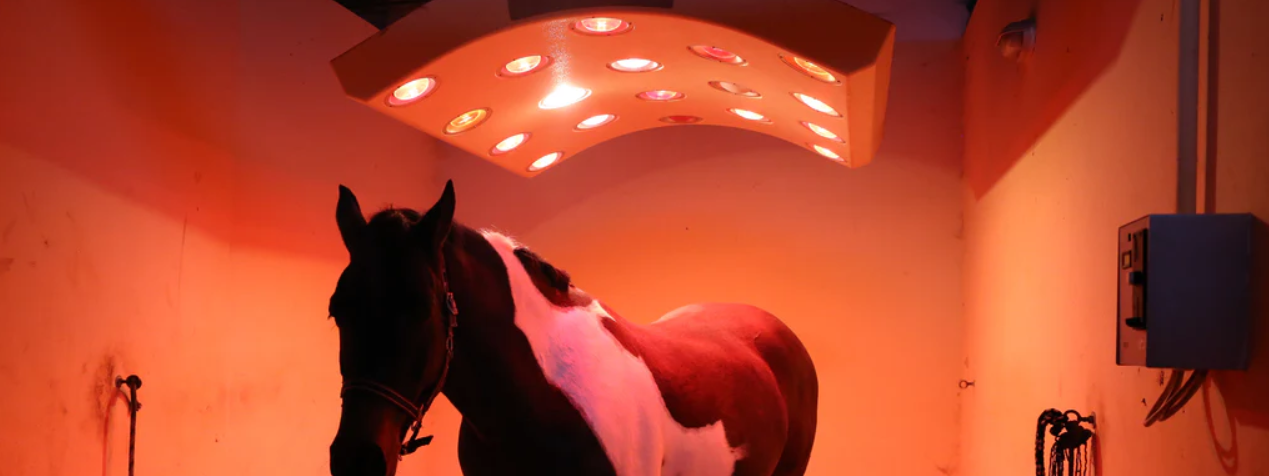 Red Light Therapy – How It Actually Works